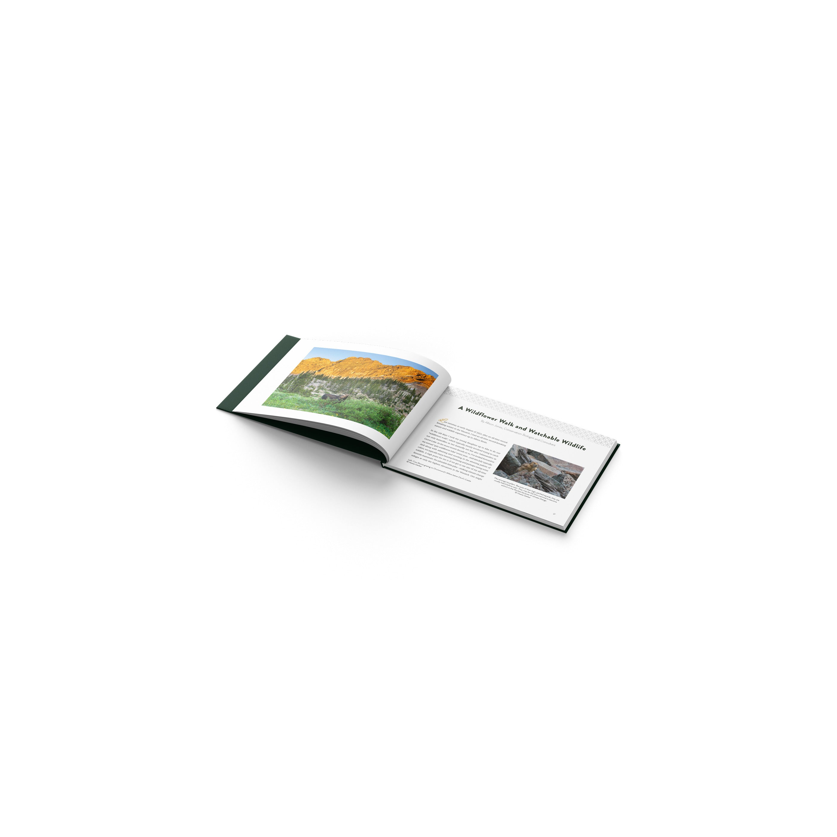 black-diamond-little-cottonwood-canyon-and-alta-livre-jewel-of-the-wasatch-mount image 3