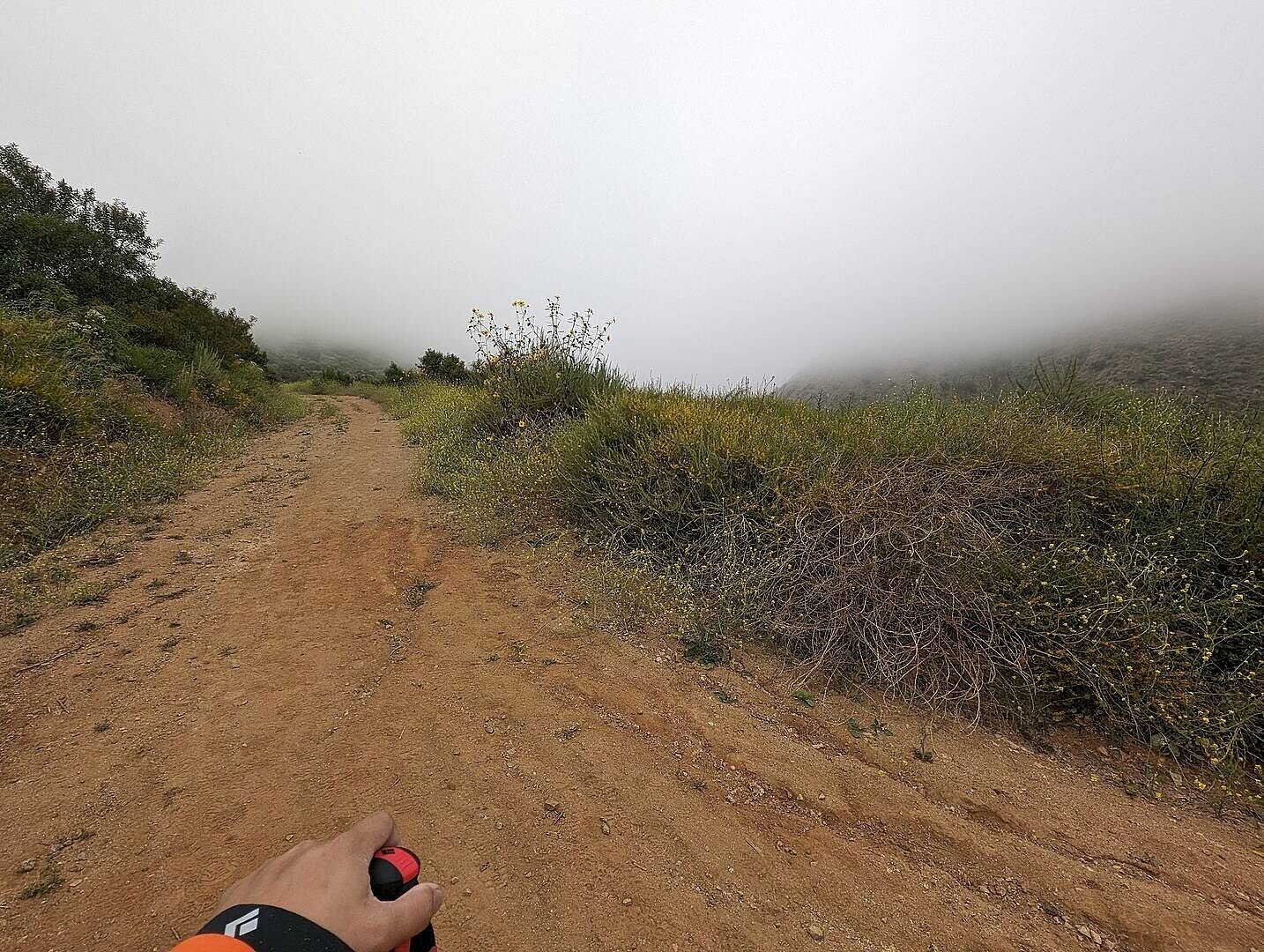 Excellents pour le trail rando