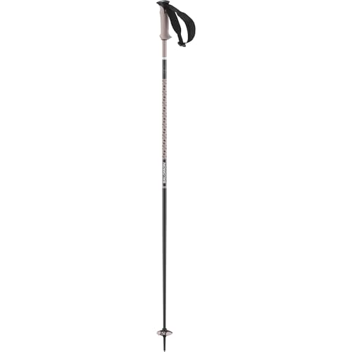 salomon-polar-pro-b-tons-de-ski-alpin-aluminium image 6