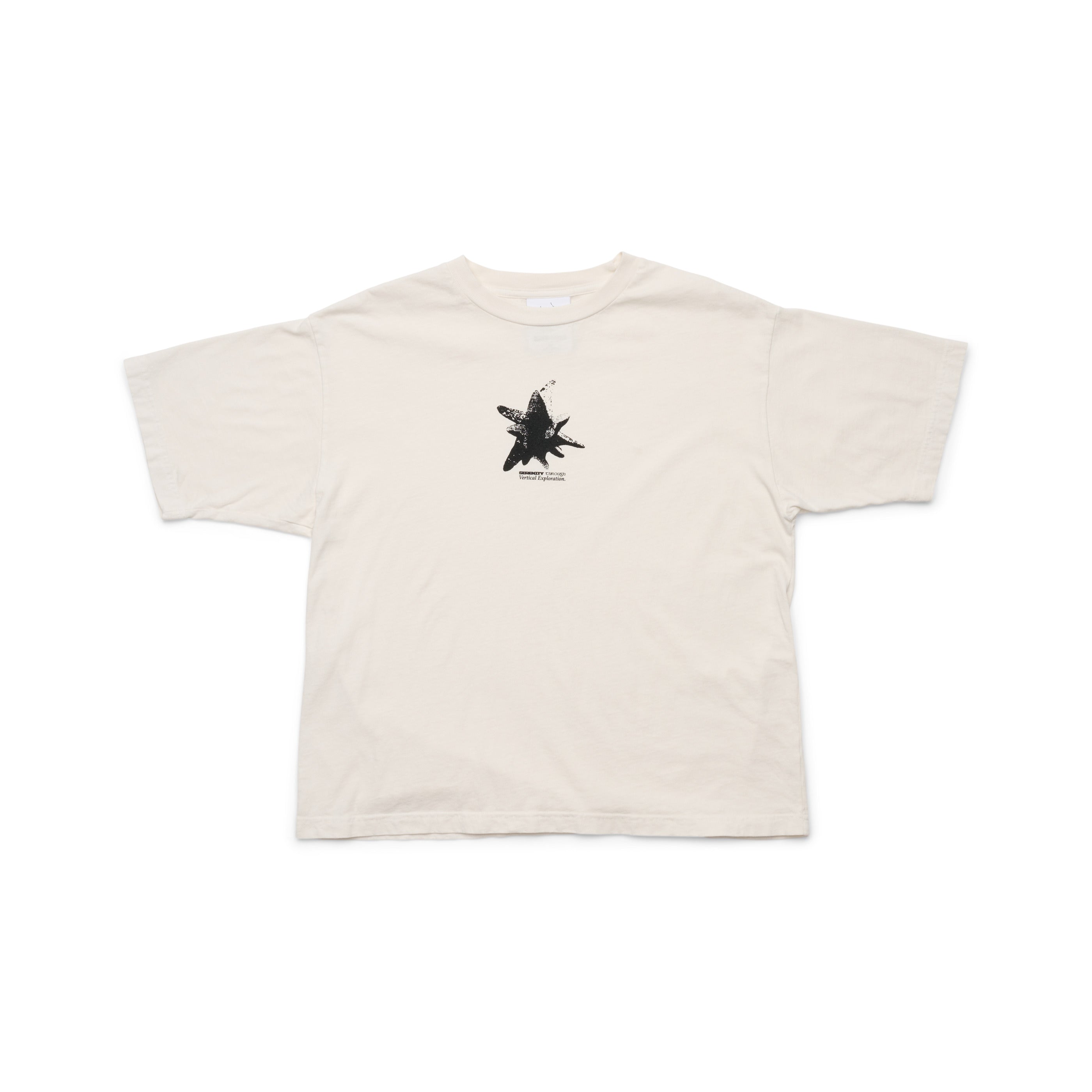 black-diamond-bd-hex-rock-t-shirt-homme-coton-bio image 2