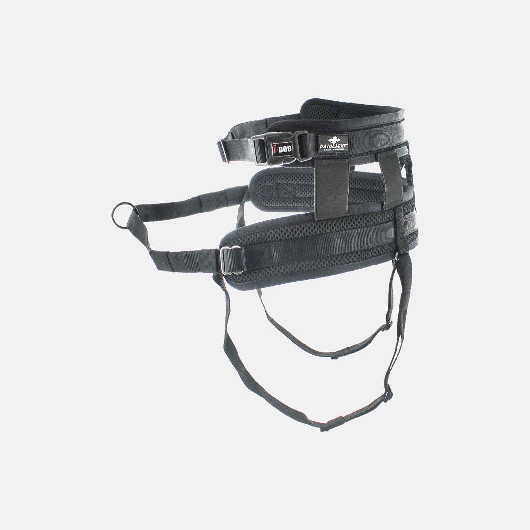 raidlight-baudrier-canitrail-harnais-canicross-running image 2
