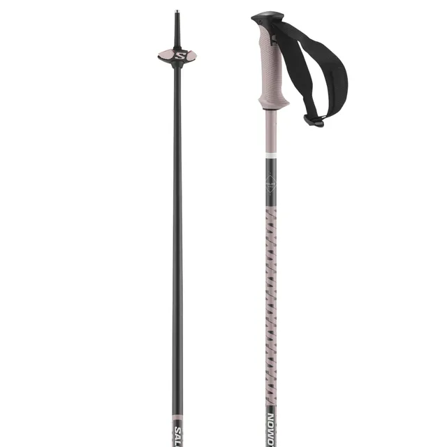 salomon-polar-pro-b-tons-de-ski-alpin-aluminium image 1