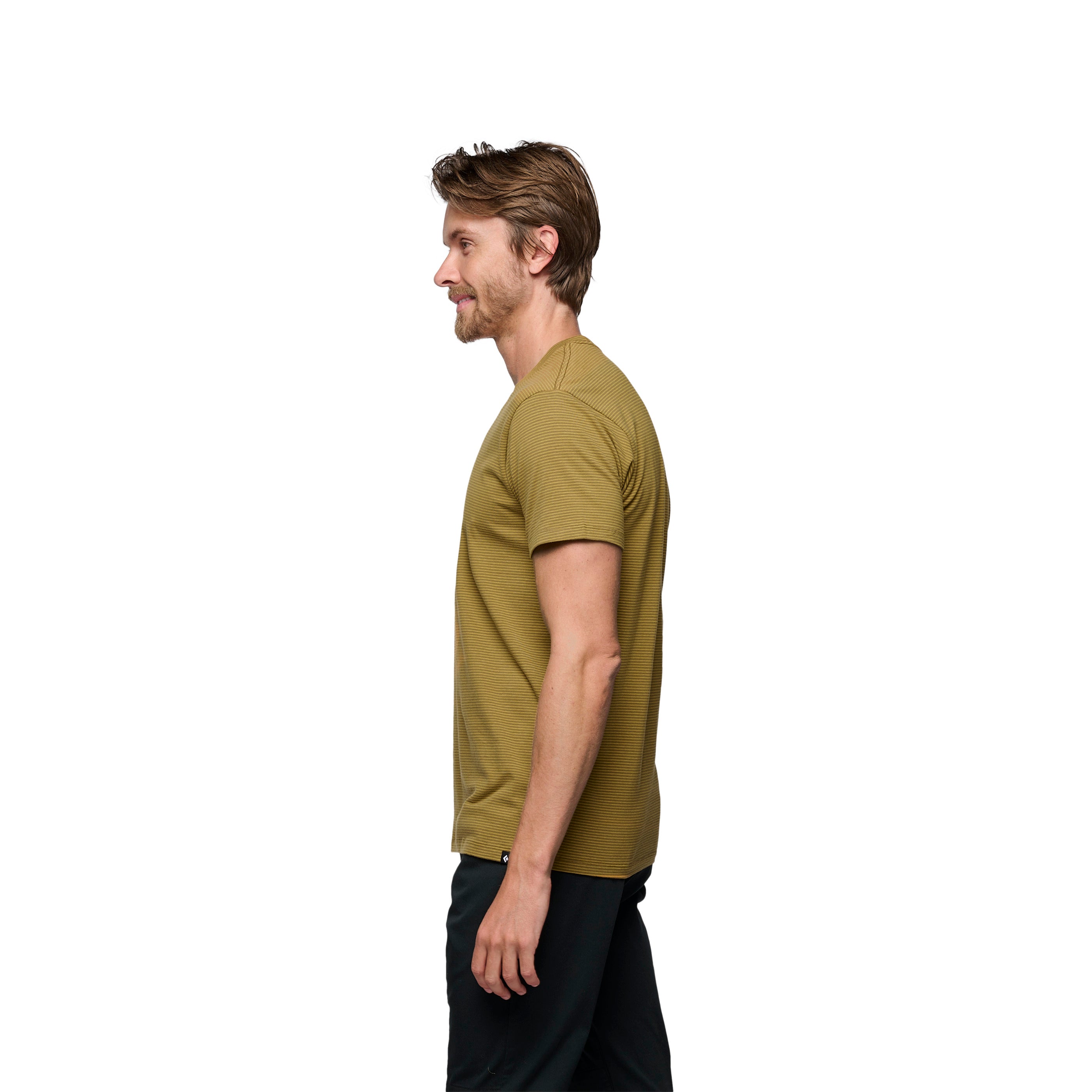 black-diamond-bd-stripe-t-shirt-homme-manches-courtes image 2