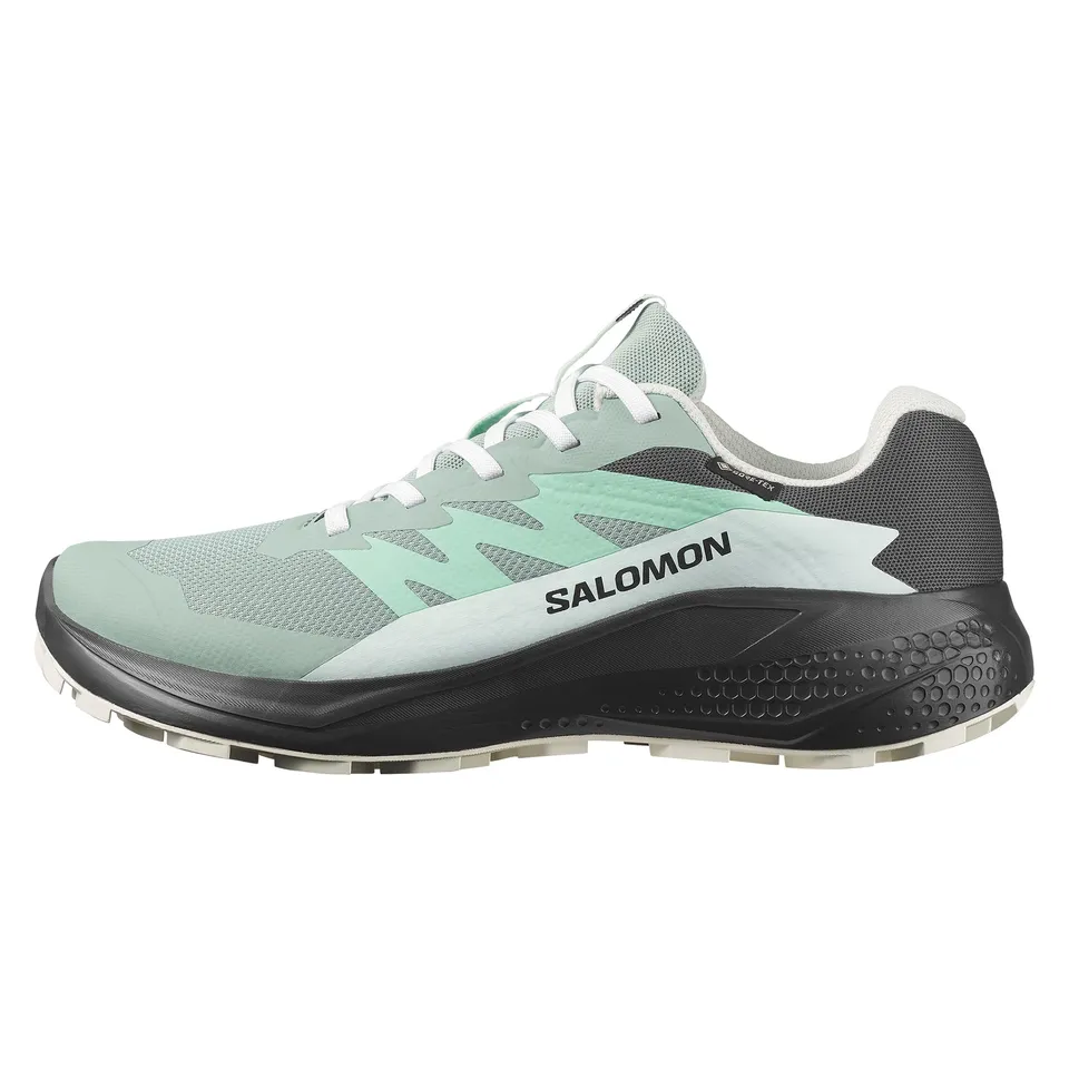 salomon-alphaglide-gore-tex-chaussures-de-trail-femme image 1