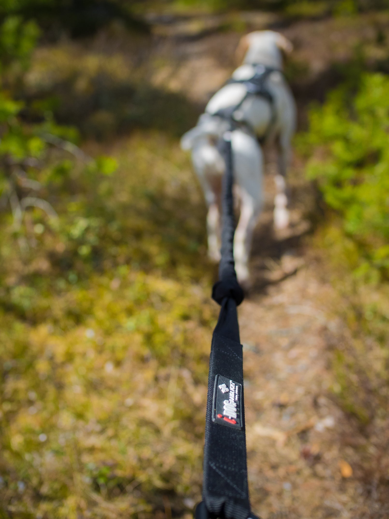 raidlight-longe-canitrail-longe-trail-l-g-re image 4
