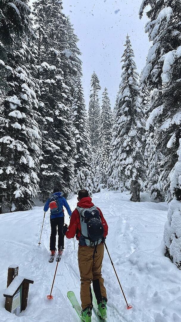 Top pour le backcountry