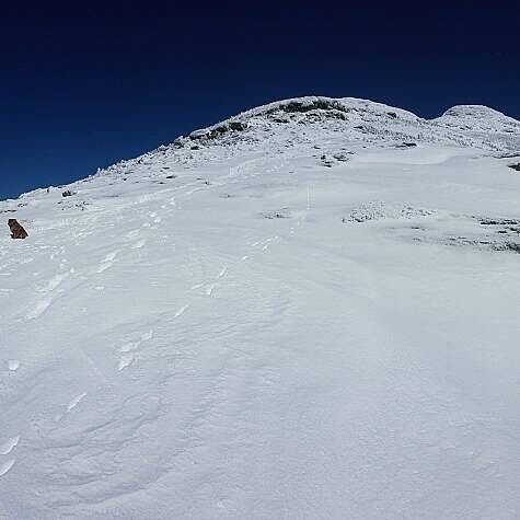 Bons gants de boulot montagne