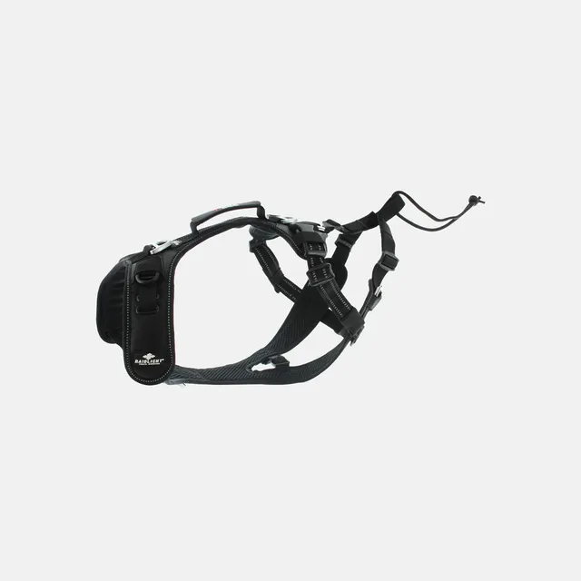 raidlight-harnais-canitrail-chien-4-points-de-r-glage image 1