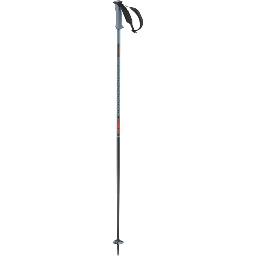 salomon-polar-pro-b-tons-de-ski-alpin-aluminium image 8