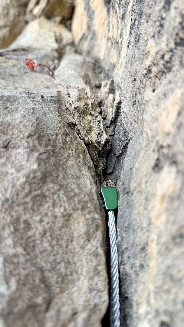 Complet pour débuter le trad