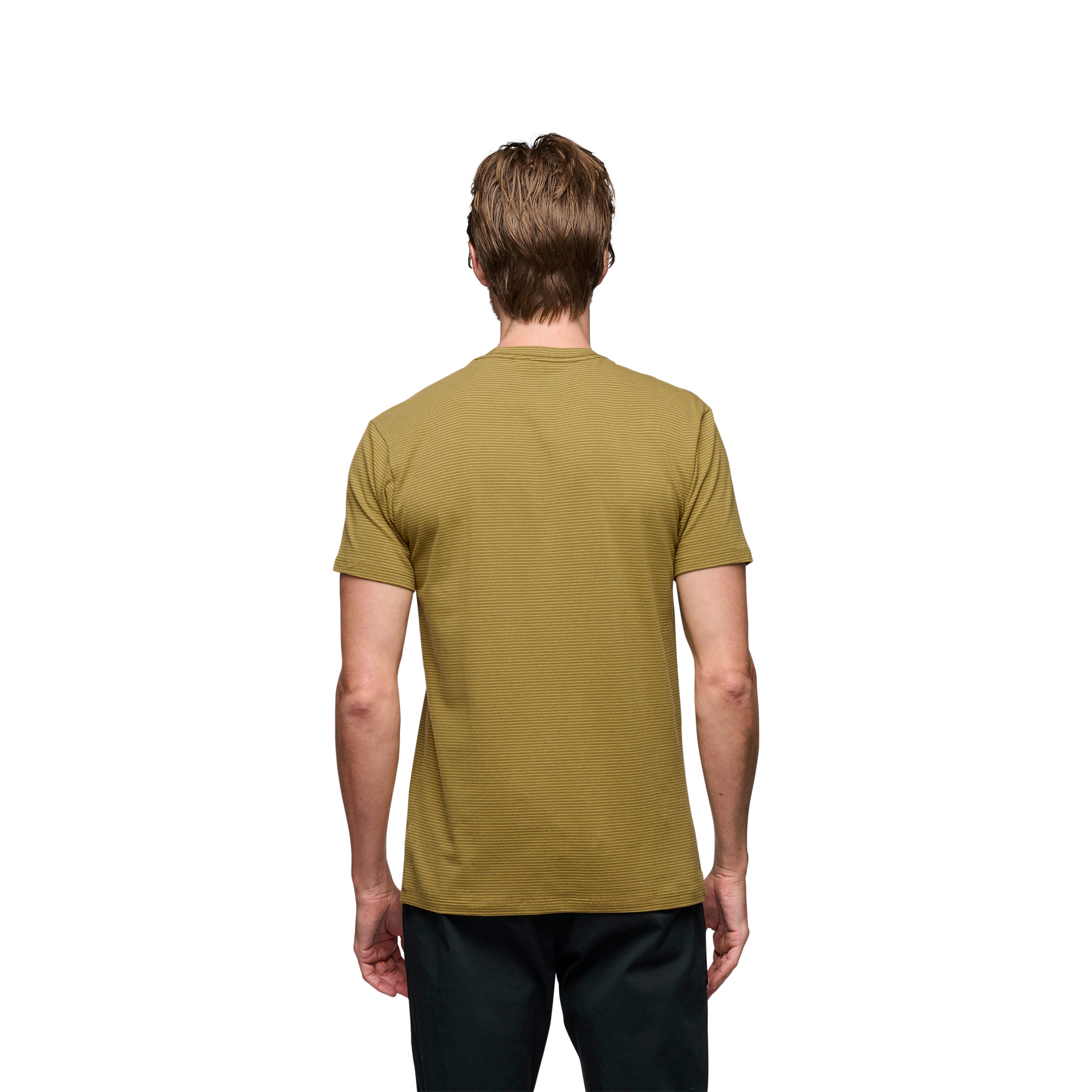 black-diamond-bd-stripe-t-shirt-homme-manches-courtes image 3