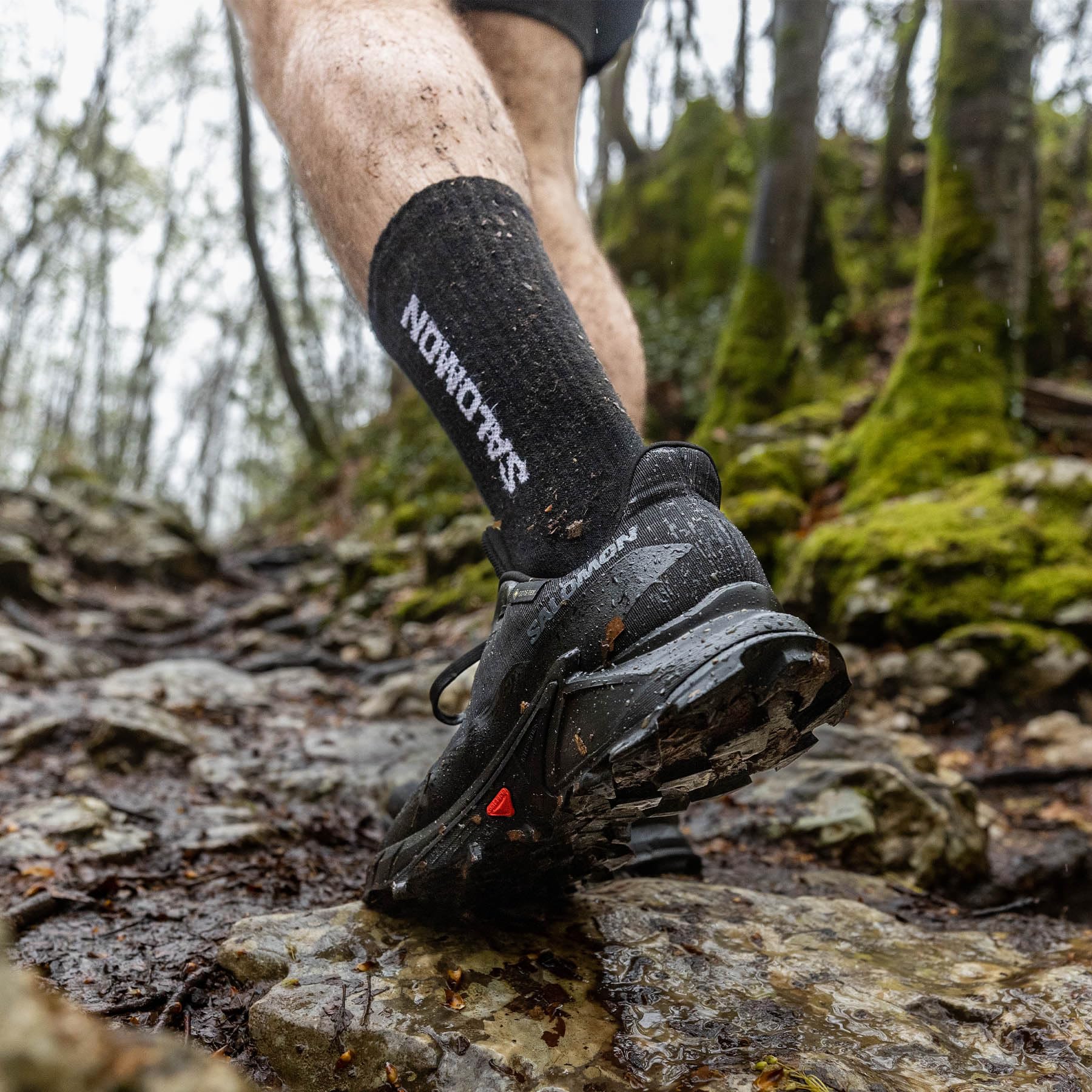salomon-alphacross-5-gore-tex-chaussures-de-trail-imperm-ables-homme image 8
