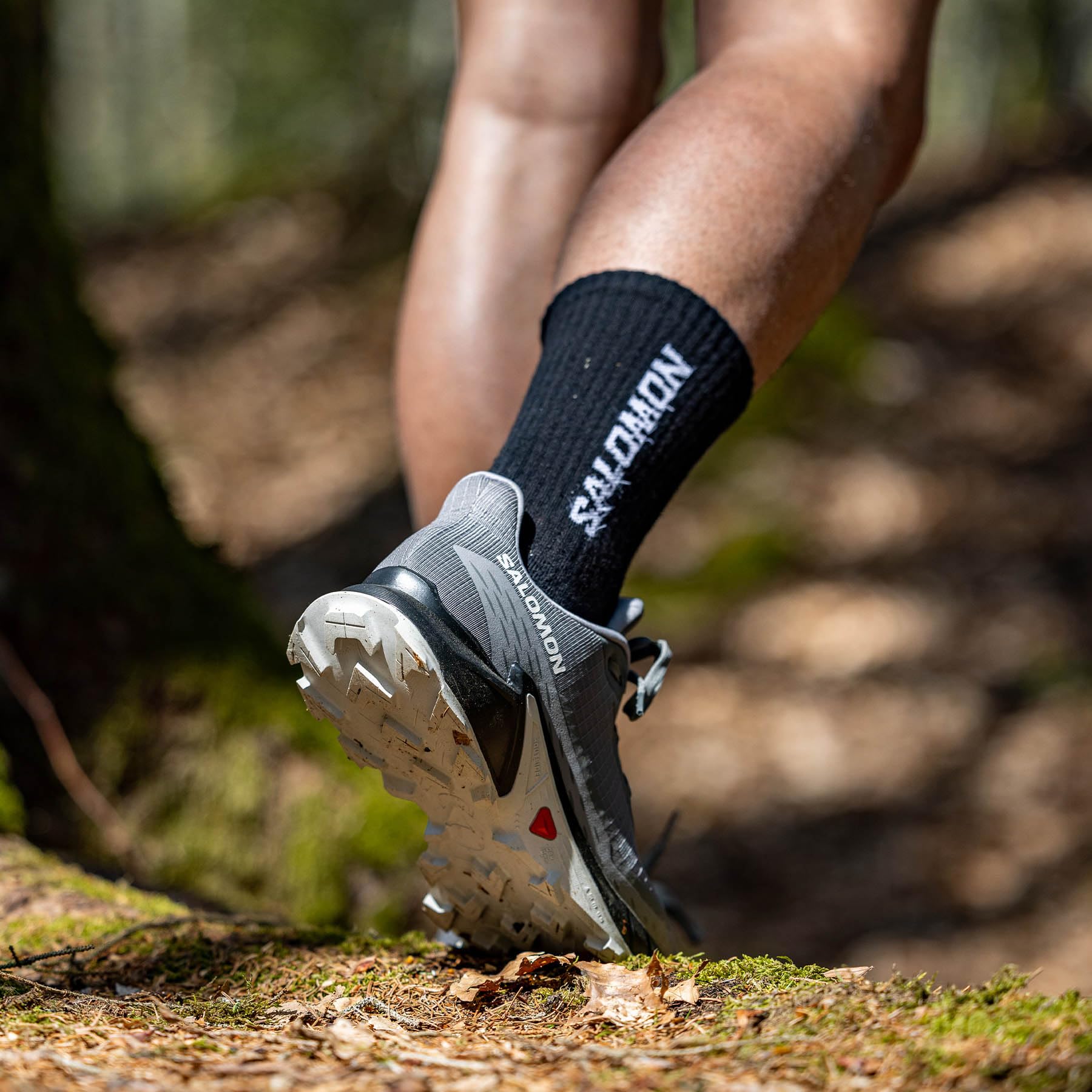 salomon-alphacross-5-chaussures-de-trail-homme image 3