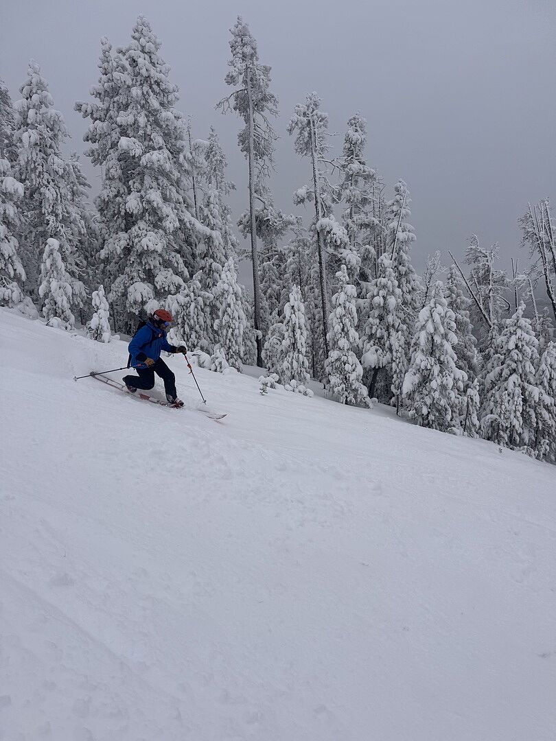 Parfaits pour piste et hors-piste