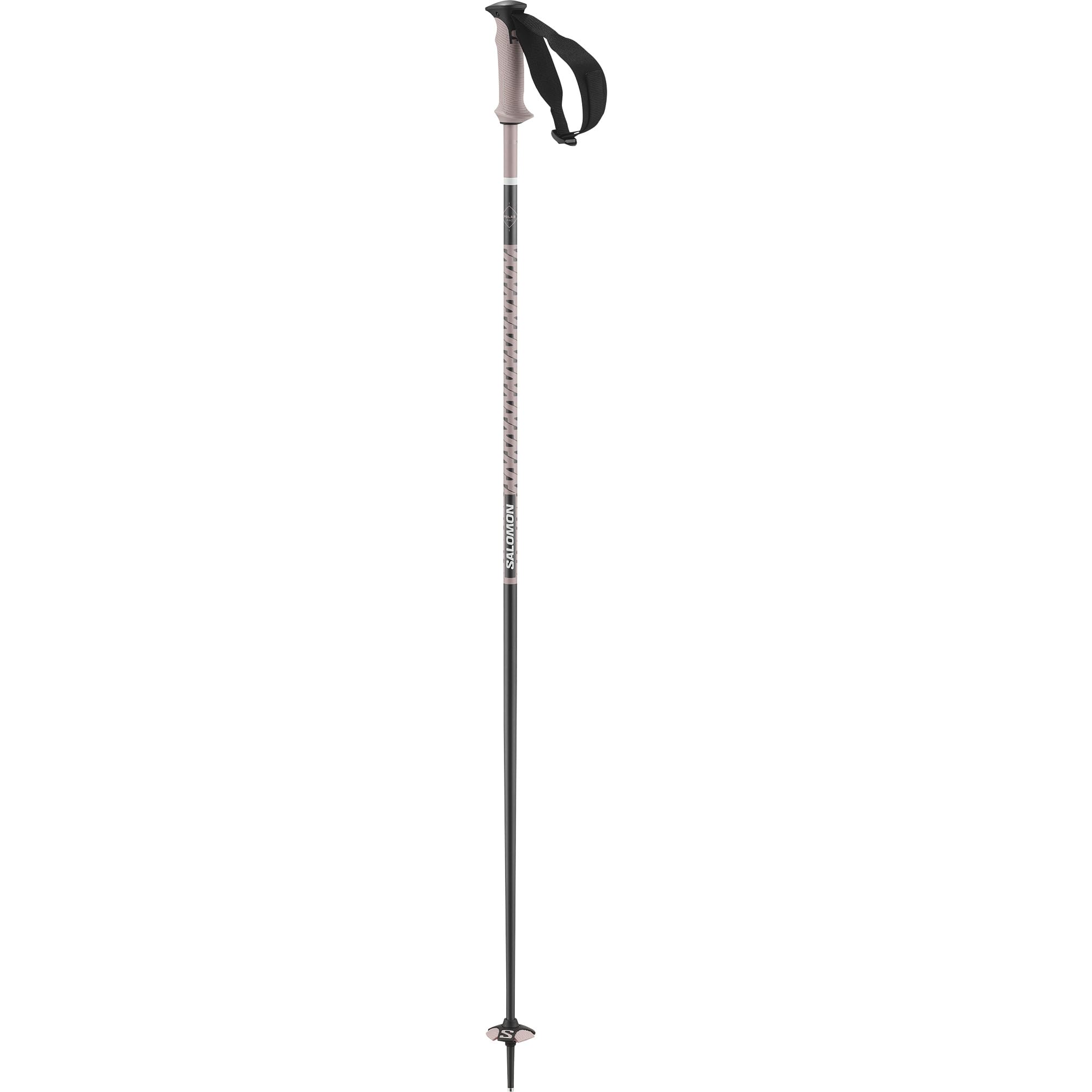 salomon-polar-pro-b-tons-de-ski-alpin-aluminium image 2