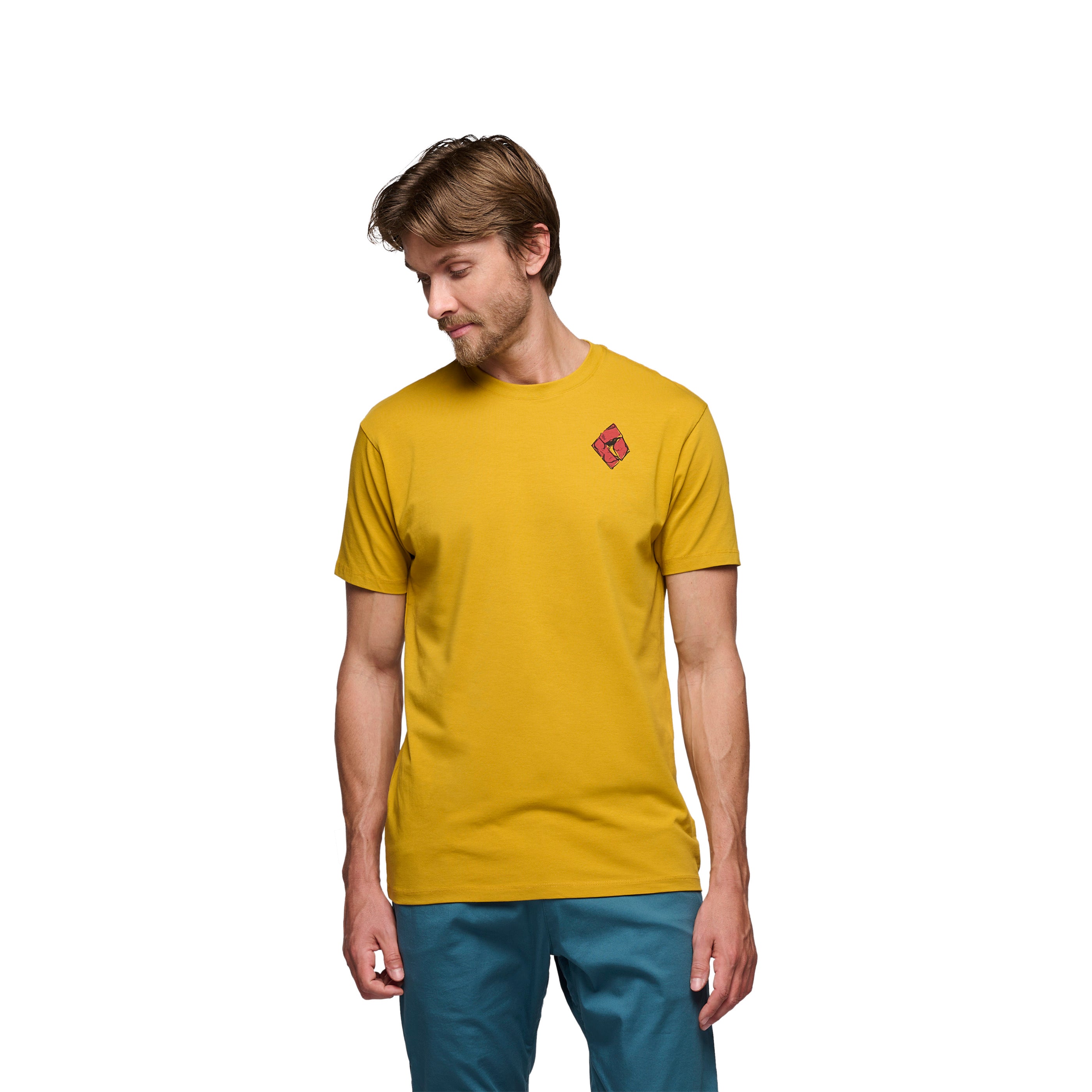 black-diamond-mono-pocket-tee-2nds-t-shirt-homme-coton-bio image 7