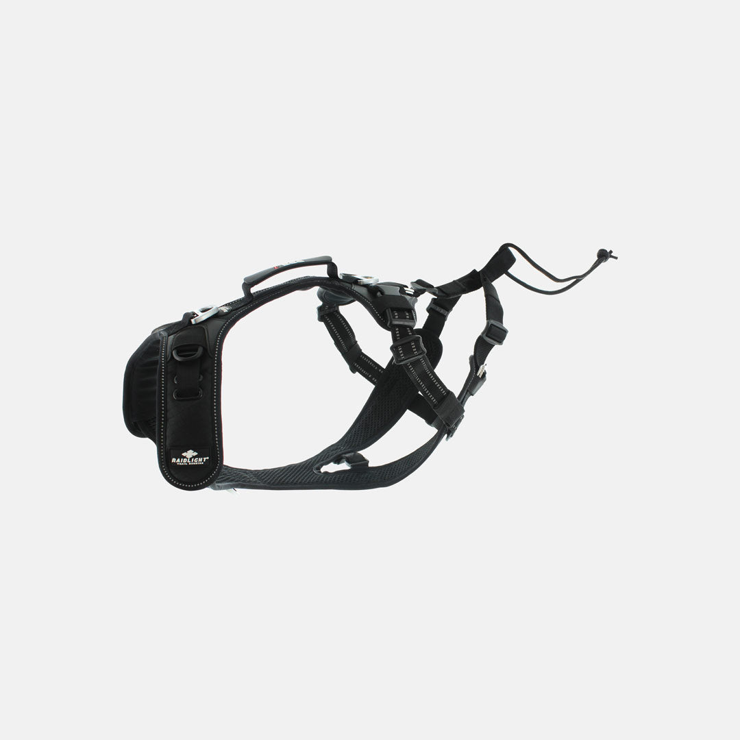 raidlight-harnais-canitrail-chien-4-points-de-r-glage image 1